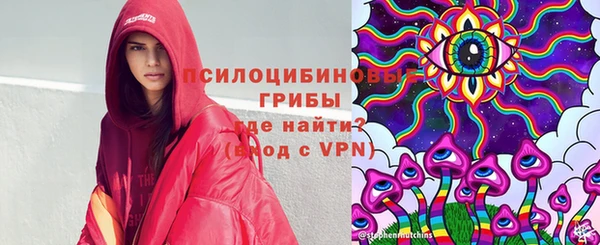 меф Медвежьегорск