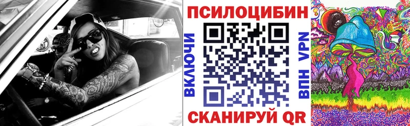 Псилоцибиновые грибы прущие грибы  даркнет сайт  Красково 